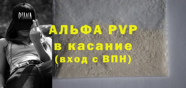амф Коряжма