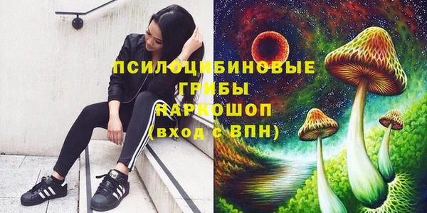 прущие грибы Костерёво