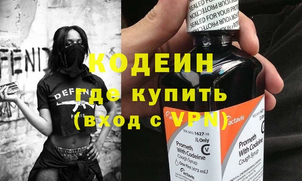 прущие грибы Костерёво