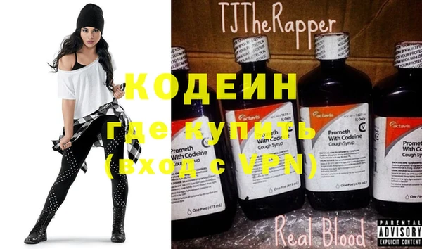 прущие грибы Костерёво