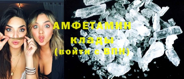 прущие грибы Костерёво