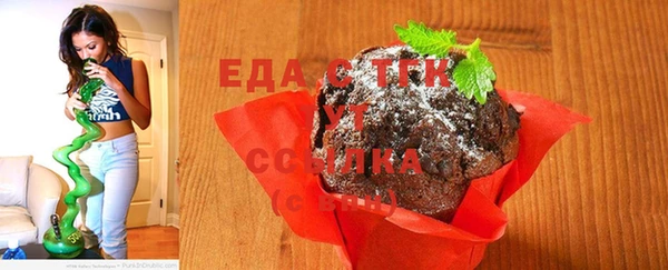 амф Коряжма