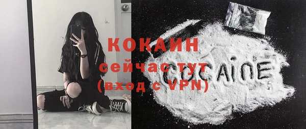 прущие грибы Костерёво