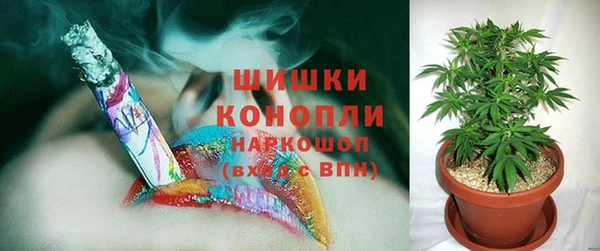 дмт Корсаков