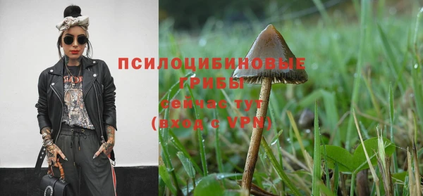 амф Коряжма