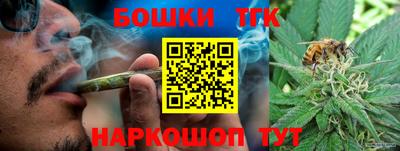 ГАЛЛЮЦИНОГЕННЫЕ ГРИБЫ Кингисепп
