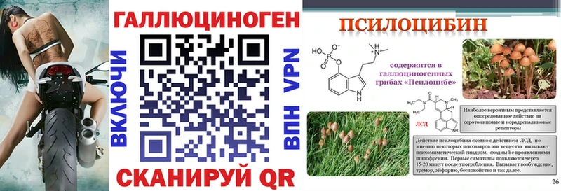 Псилоцибиновые грибы Magic Shrooms  Юрга 