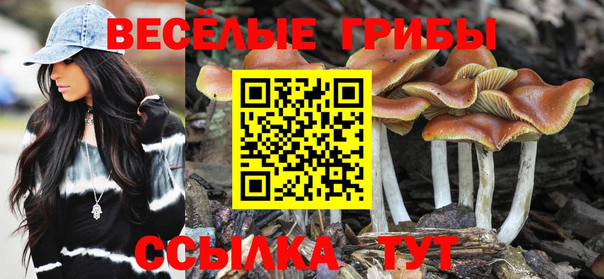 Галлюциногенные грибы Psilocybe  Вход с VPN  Юрга 