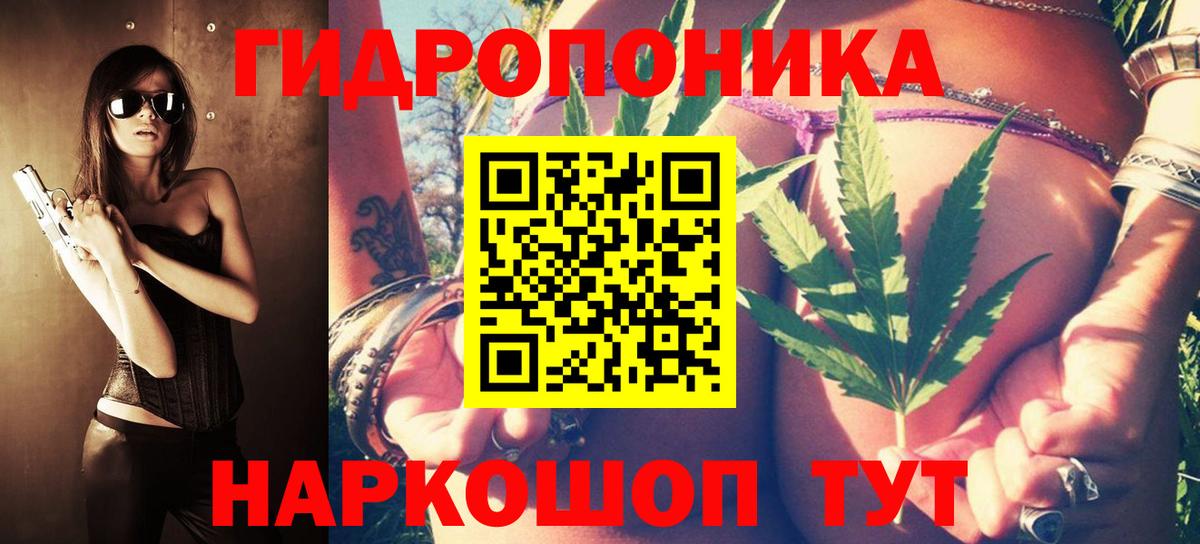 Конопля AK-47  Шишки марихуана сатива  Юрга  Конопля конопля  Вход с VPN  Каннабис MAZAR 