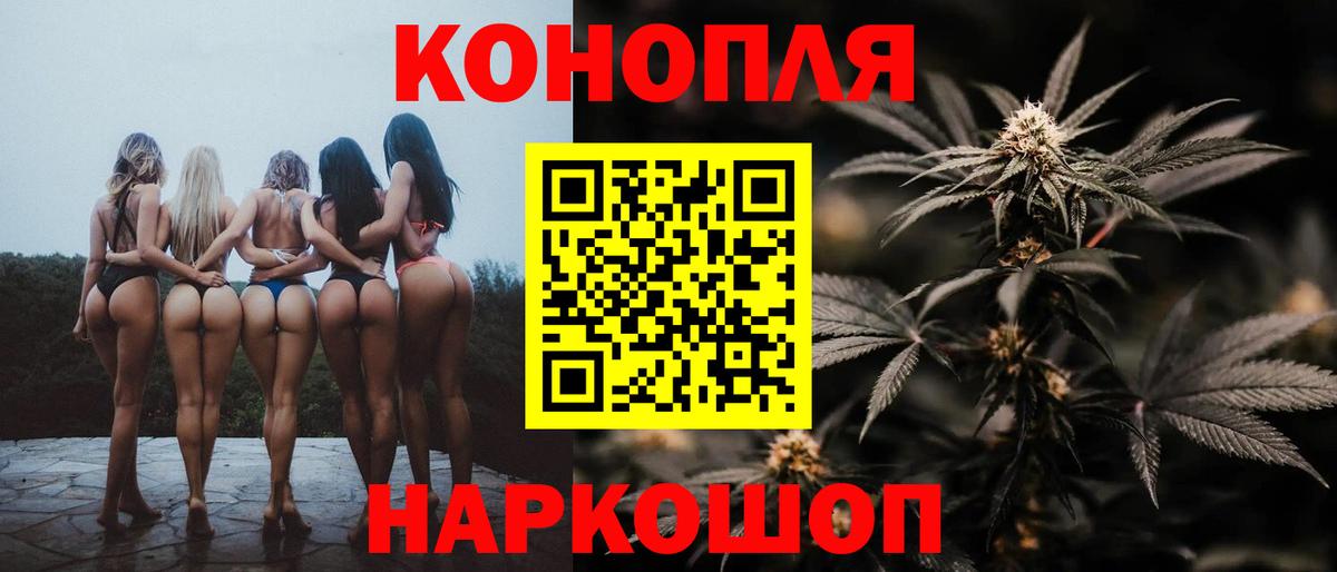 Конопля планчик Юрга
